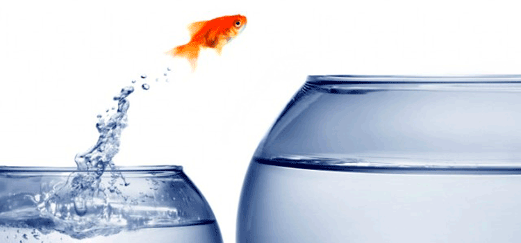 motivate and encourage students